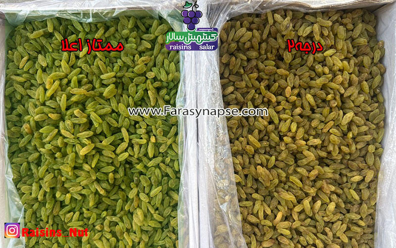 قیمت کشمش سبز در بازار