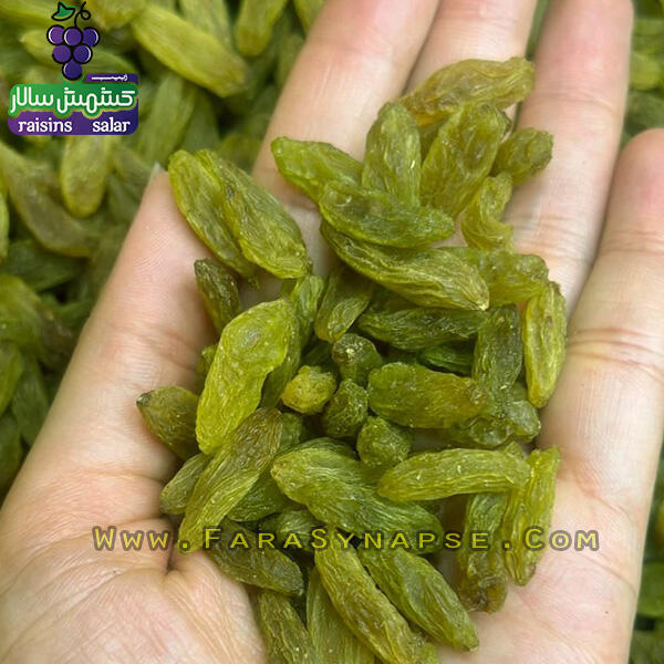 خرید کشمش تازه