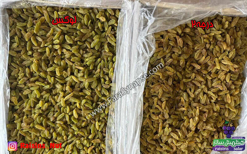 خرید کشمش تازه
