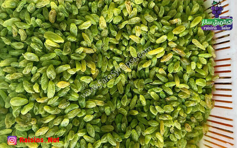 خرید کشمش تازه