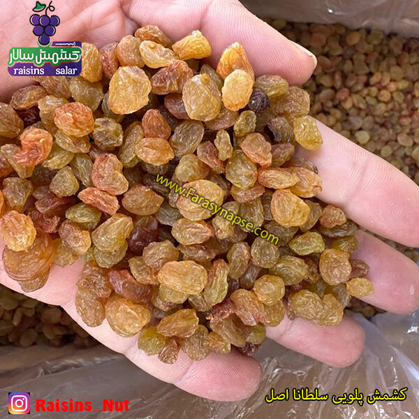 کشمش پلویی فله