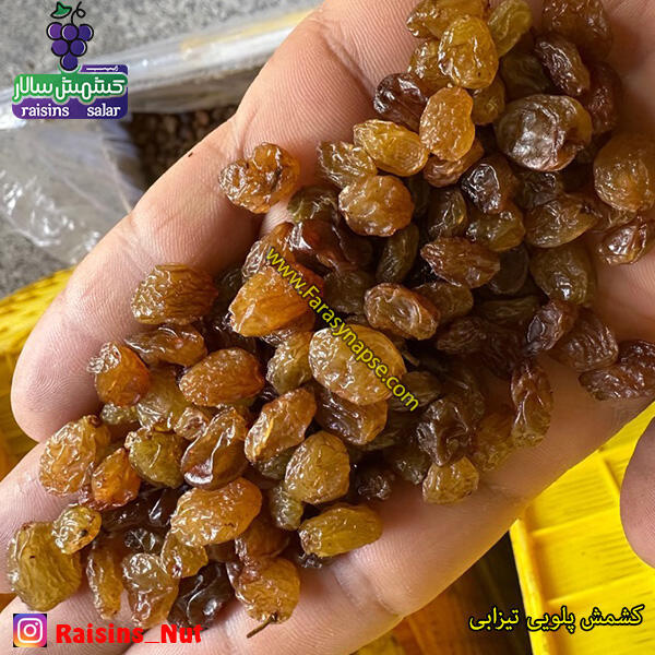 کشمش پلویی فله