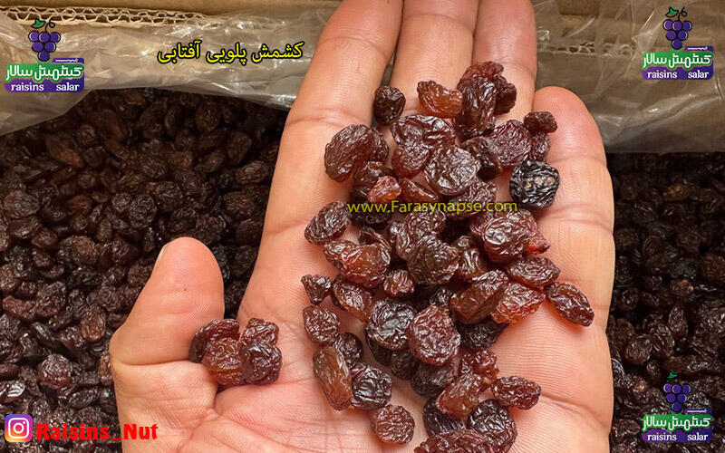 کشمش پلویی فله
