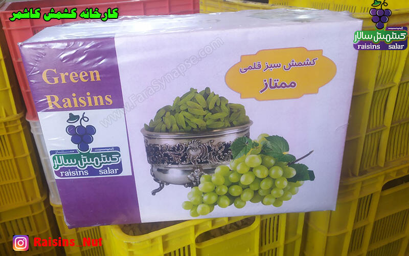 کشمش سبز قلمی صادراتی