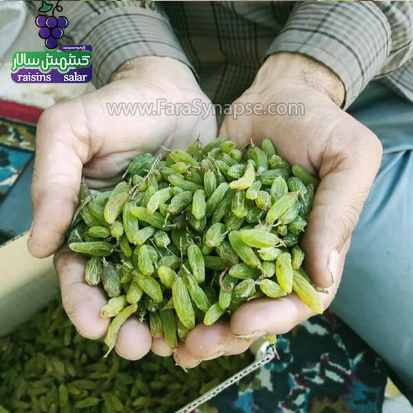 قیمت کشمش سبز تیزابی
