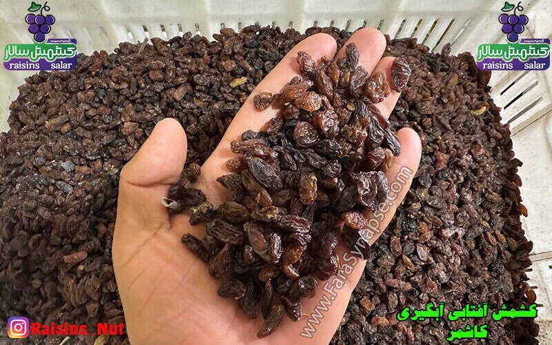 کشمش آفتابی آبگیری