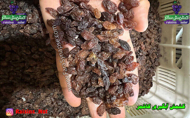 کشمش آفتابی آبگیری