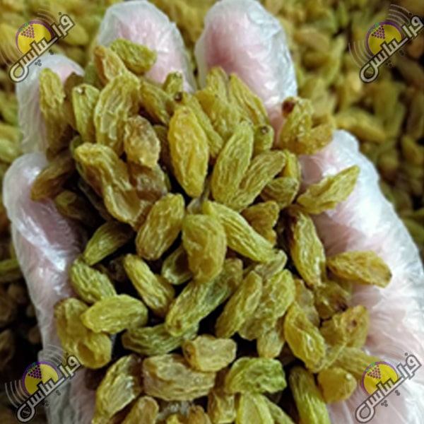 خرید کشمش سبز درجه یک