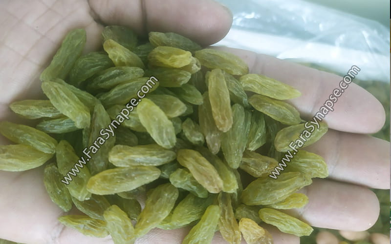 کشمش سبز قلمی کاشمر