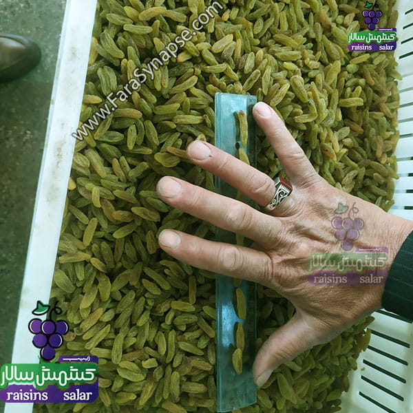 کشمش سبز دراز