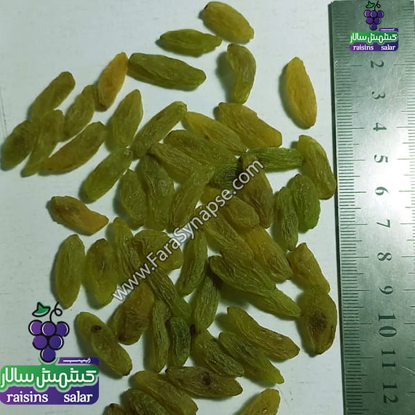 کشمش سبز دراز