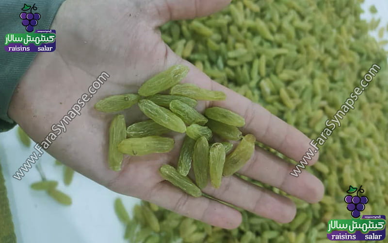 کشمش سبز کاشمر عمده