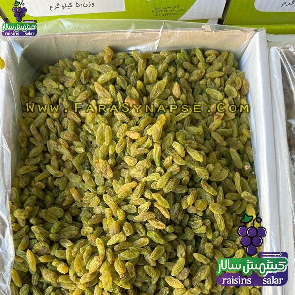کشمش سبز عمده