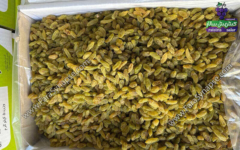 کشمش سبز عمده
