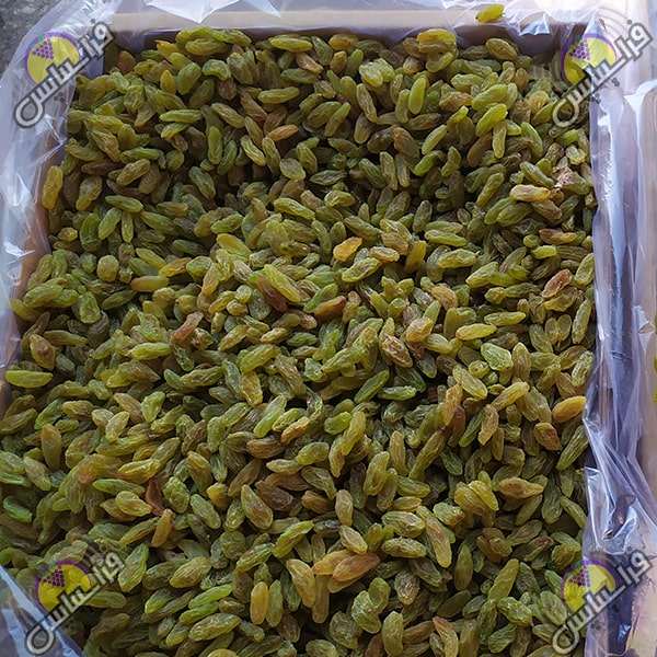 خرید کشمش سبز درجه یک
