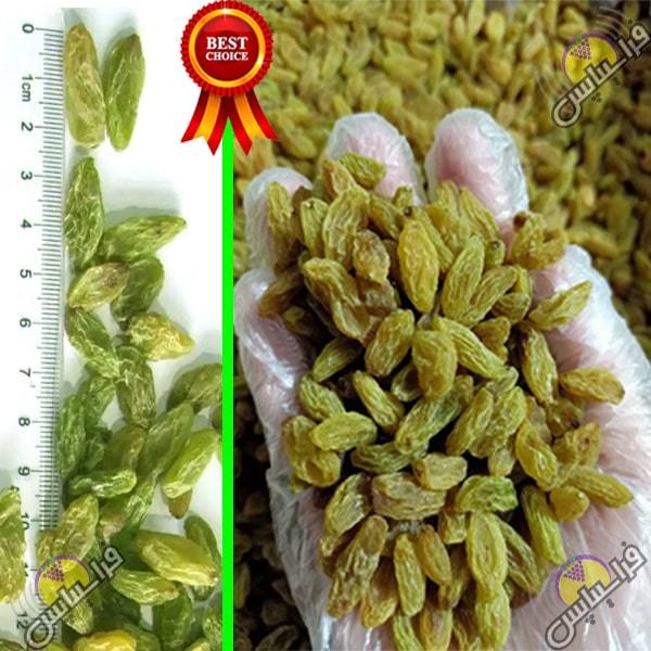 کشمش کاشمر