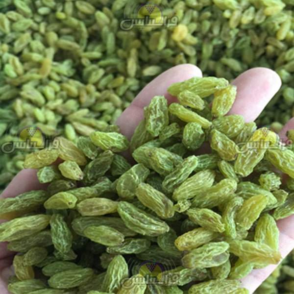 خرید کشمش سبز درجه یک