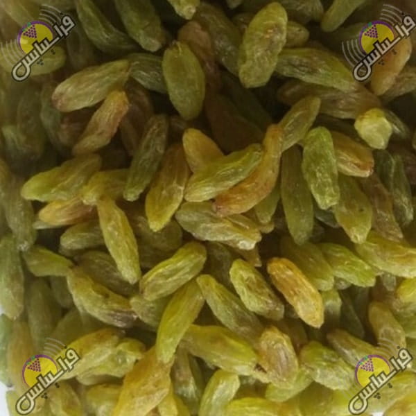 کشمش سبز صادراتی