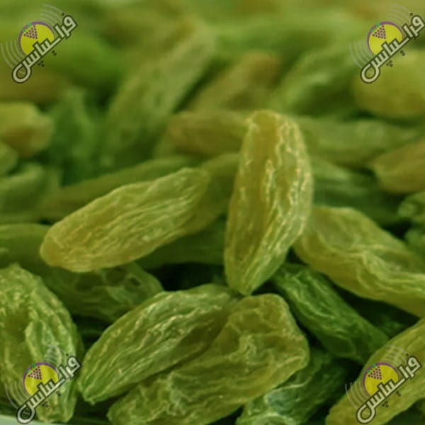 کشمش سبز صادراتی