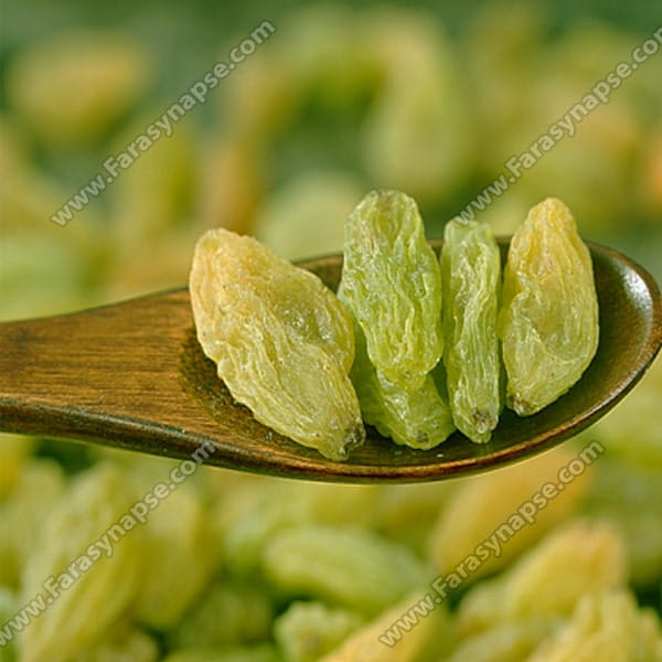 کشمش سبز صادراتی