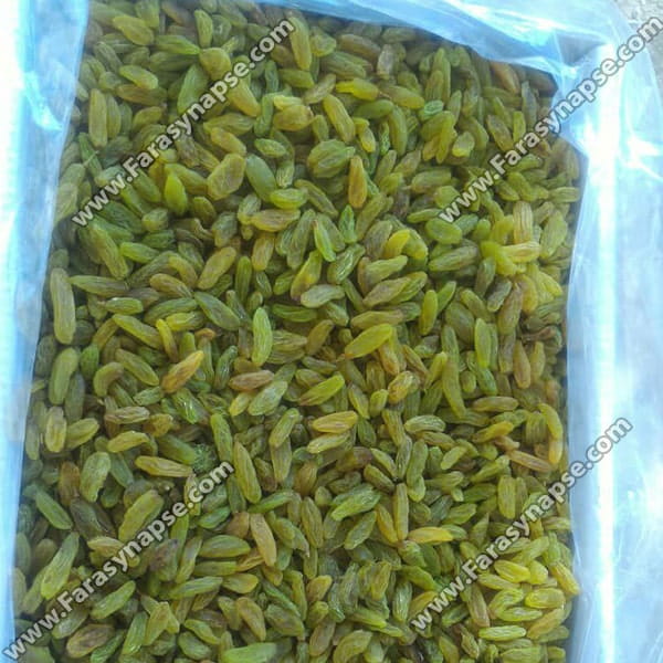 خرید کشمش سبز عمده
