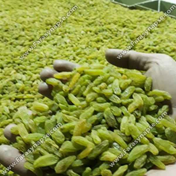 کشمش کاشمر درجه یک