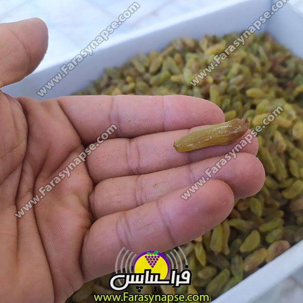 کشمش کاشمر درجه یک