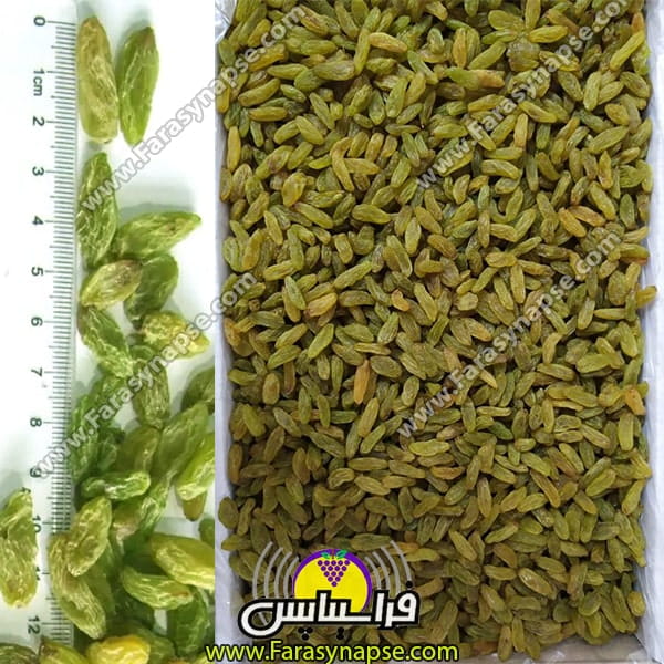 کشمش کاشمر درجه یک