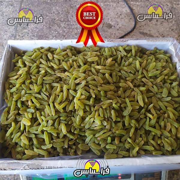 خرید کشمش سبز درجه یک