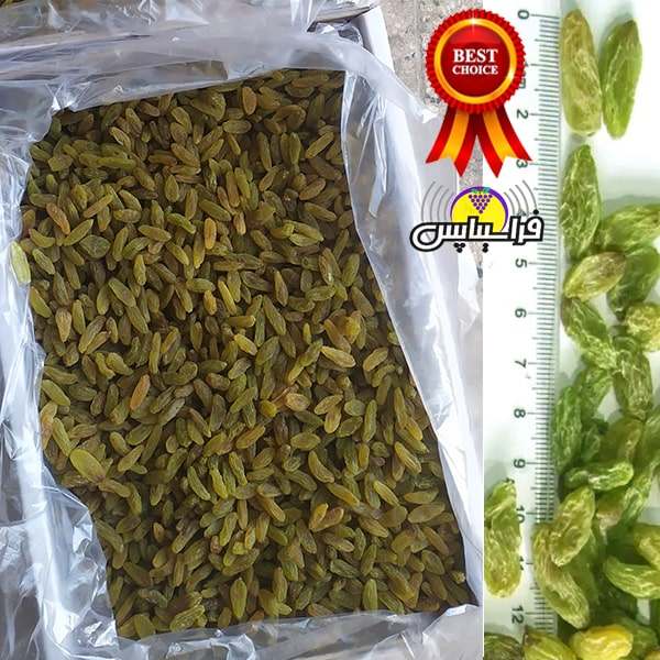 خرید کشمش سبز درجه یک