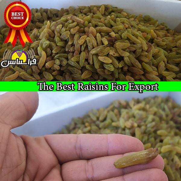 خرید کشمش سبز درجه یک