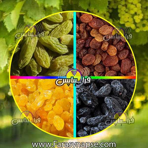 خرید کشمش سبز درجه یک